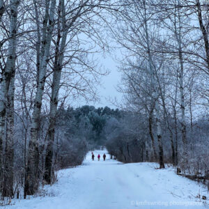 Ritter Farm Park in Lakeville, Minnesota best winter hikes trail in Twin Cities