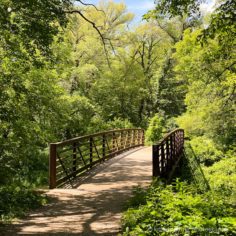 Bridge hiking trail at Buffalo River State Park in Minnesota