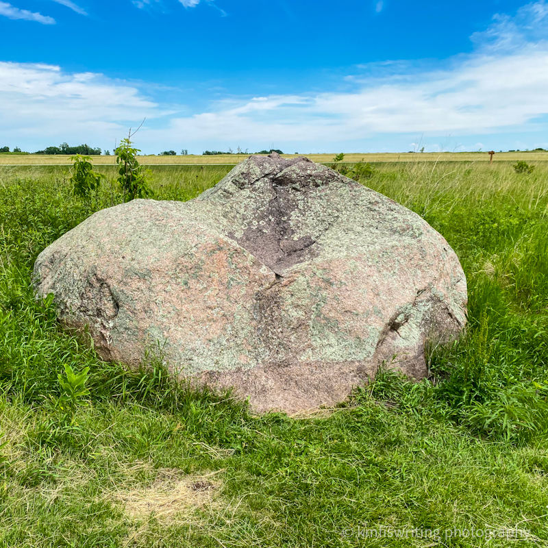 Buffalo rubbing boulder at Buffalo River State Park in Minnesota