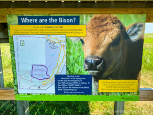 Bison observation viewing platform at Blue Mounds State Park in Minnesota
