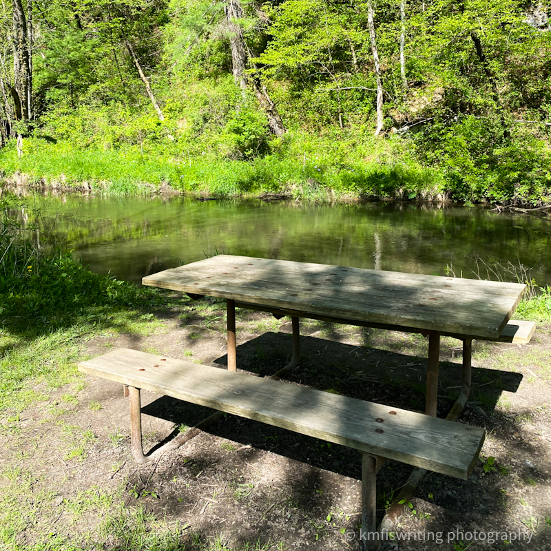 Picnic bench at Carley State Park in Minnesota