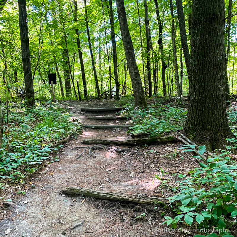 Carley State Park in Minnesota hiking trails