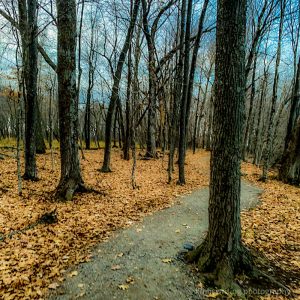 Father Hennepin State Park hiking trail in Minnesota