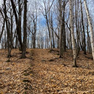 Best hiking in Minnesota Mille Lacs Kathio State Park