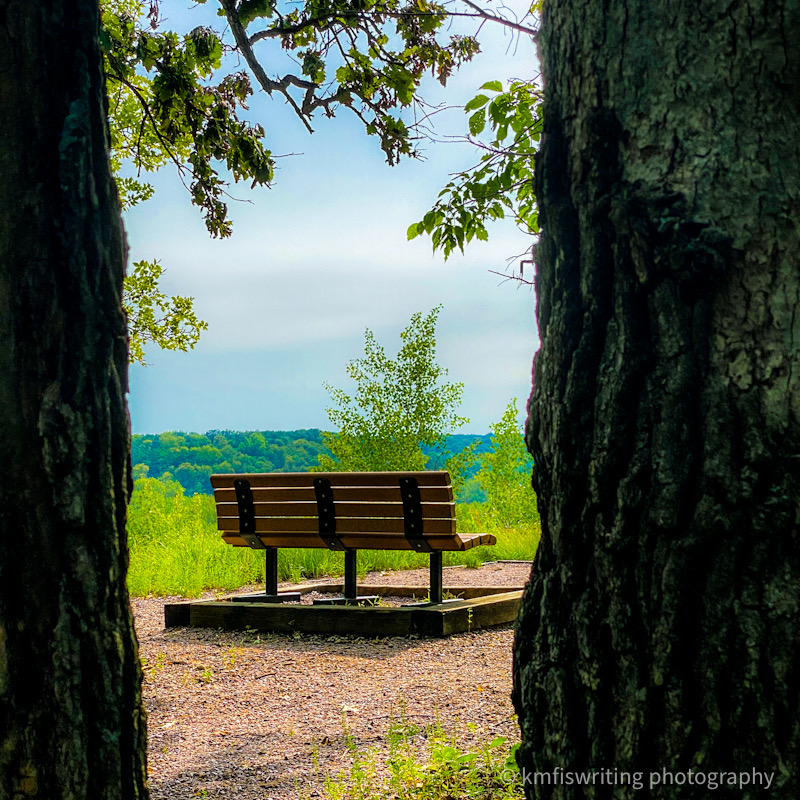 Flandrau State Park in New Ulm, MN scenic view with park bench