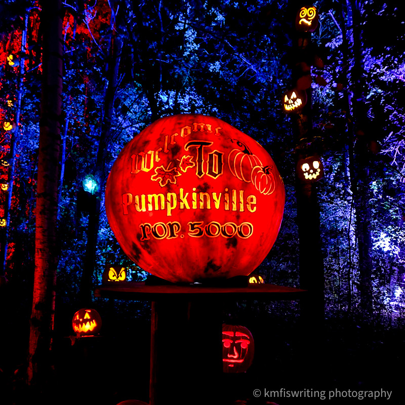 Halloween event in Twin Cities MN Zoo Jack-o-Lantern Spectacular