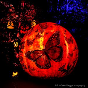 Best Halloween event in Twin Cities MN Zoo Jack-o-Lantern Spectacular Butterfly pumpkin carving