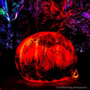 Best Halloween event in Twin Cities MN Zoo Jack-o-Lantern Spectacular pumpkin carving
