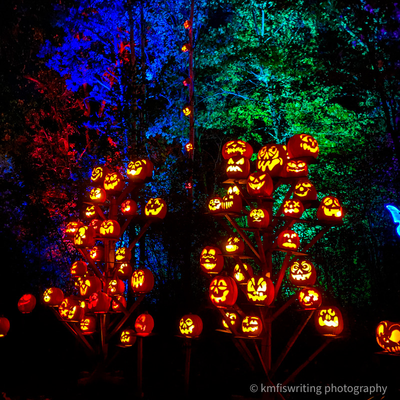 Best Halloween event in Twin Cities MN Zoo Jack-o-Lantern Spectacular pumpkin carving