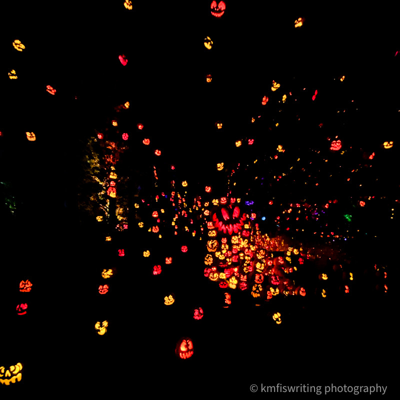 Best family-friendly Halloween in Twin Cities, MN Zoo Jack-o-Lantern Spectacular