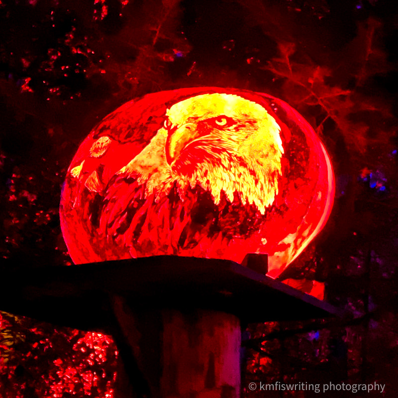 Best Halloween event in Twin Cities MN Zoo Jack-o-Lantern Spectacular