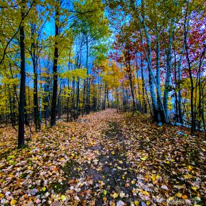 Moose Lake State Park best places to hike in Minnesota hiking trails