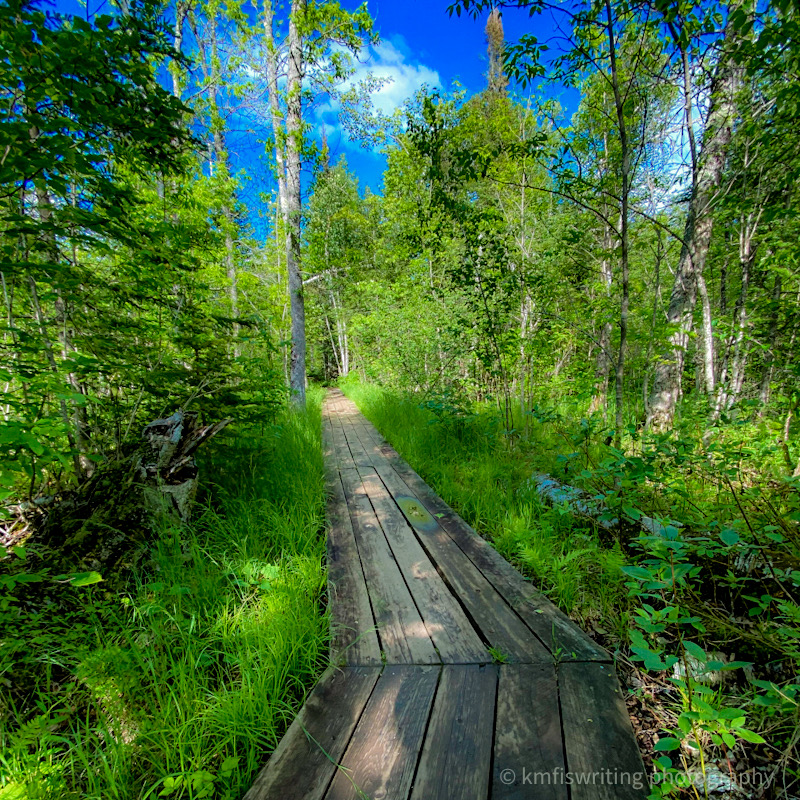 Hiking trail at George Crosby State Park on North Shore Minnesota summer boardwalk