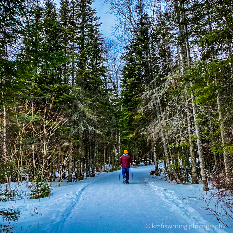Grand Portage hiking trail in winter - Minnesota state park