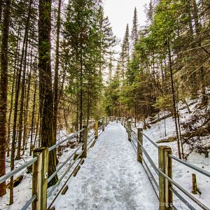 Grand Portage State Park hiking trail winter