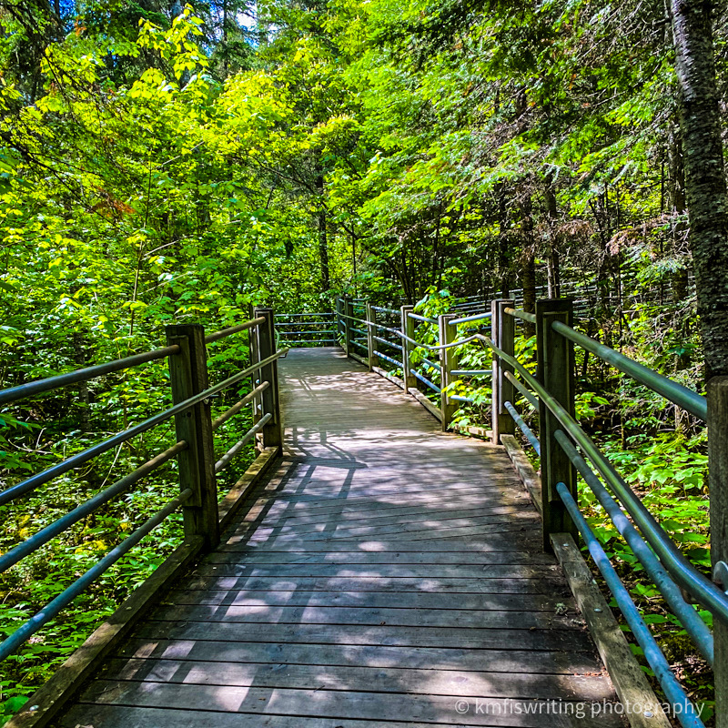 Grand Portage State Park in Minnesota hiking trail boardwalk