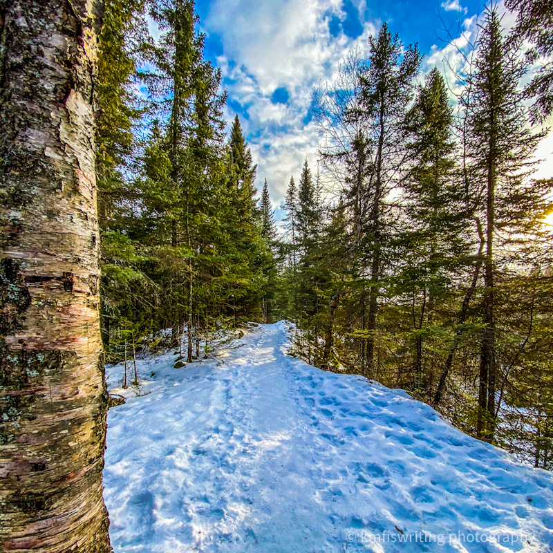 Judge CR Magney State Park winter hike in Minnesota