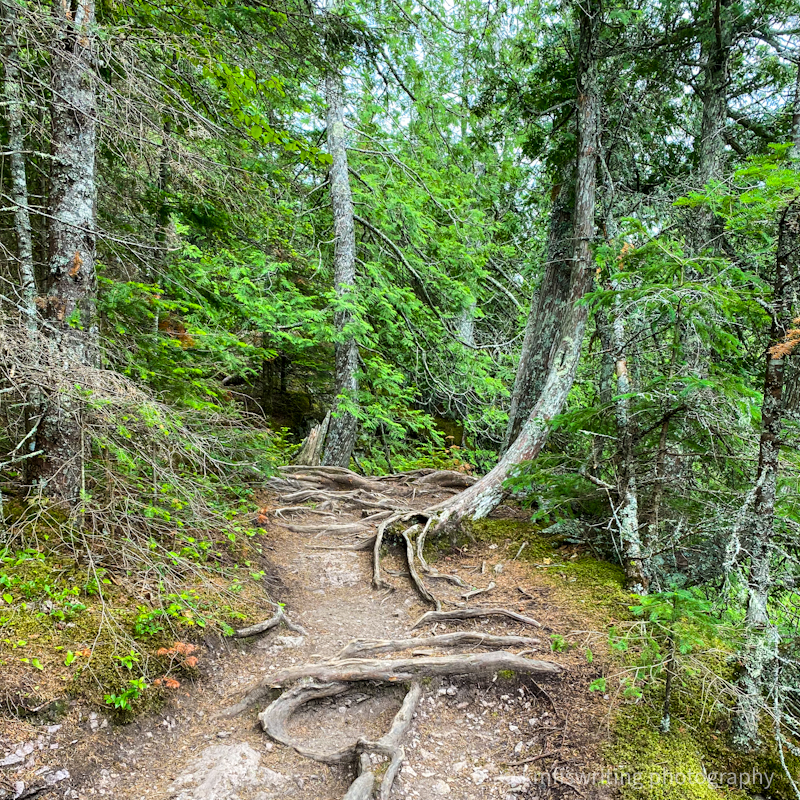 Hiking trail at Judge C.R. Magney State Park in Minnesota