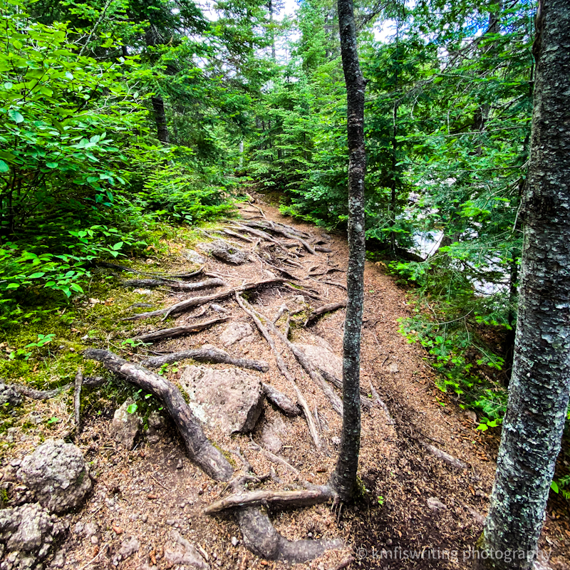 Challenging hiking trail at Temperance River State Park in Minnesota