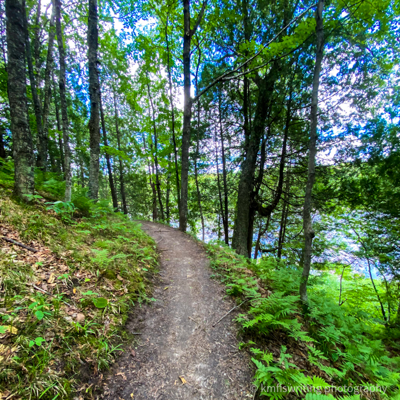 Hiking trails at Jay Cooke State Park in Minnesota
