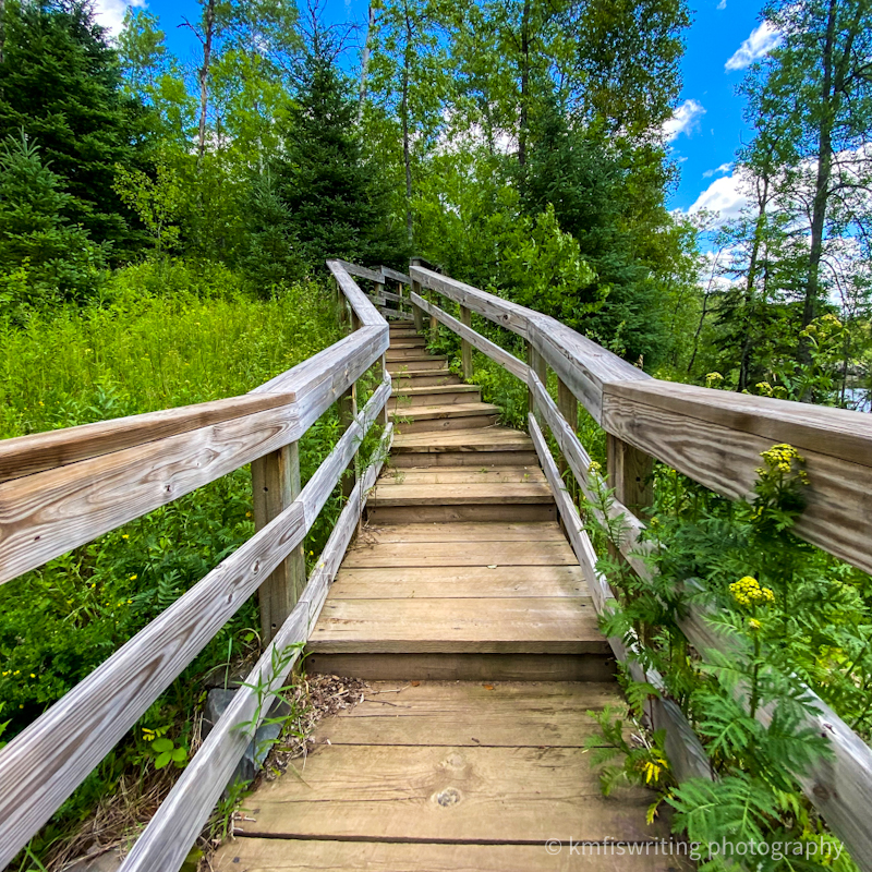 Hiking trails at Jay Cooke State Park in MInnesota