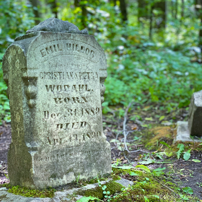 Jay Cooke State Park pioneer cemetery hiking trail in Minnesota
